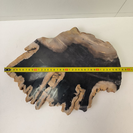 Набор из окаменелого дерева 4 предм Fossil Set NF-03296 поднос 149 