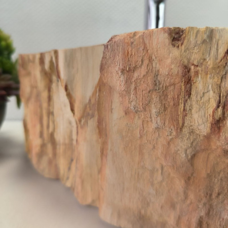 Раковина из окаменелого дерева Fossil Basin OD-02163 (46*41*14) 0088