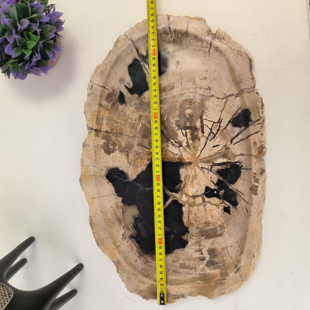 Набор из окаменелого дерева 4 предм Fossil Set NF-02863 поднос 30см*46см