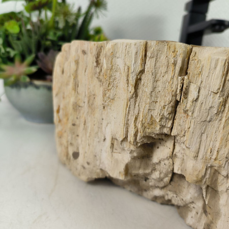 Каменная раковина из окаменелого дерева OD-04574. (60*41*15) 0176 из натурального камня