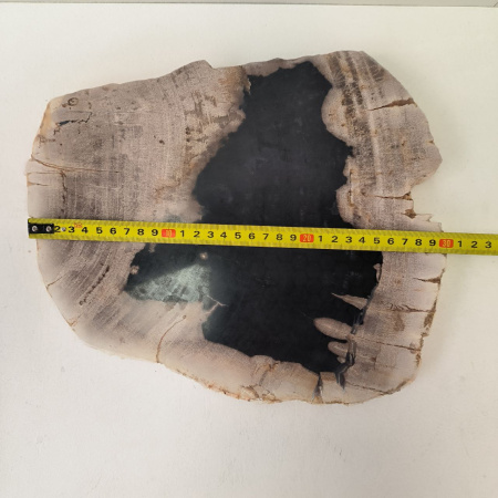 Набор из окаменелого дерева 4 предм Fossil Set NF-03299 поднос 149 
