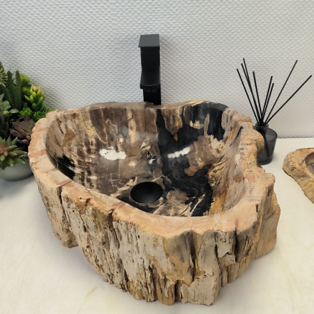 Раковина из окаменелого дерева Fossil Basin OD-02456 (45*42*16) 0092