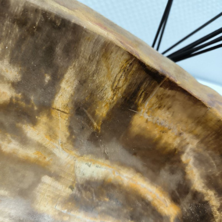 Раковина из окаменелого дерева Fossil Basin OD-02147 (44*45*14) 0088