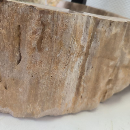 Раковина из окаменелого дерева Fossil Basin OD-02357 (50*41*15) 0088