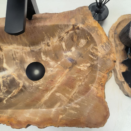 Раковина из окаменелого дерева Fossil Basin OD-02494 (55*33*15) 0092