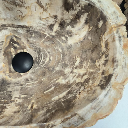 Раковина из окаменелого дерева Fossil Basin OD-02391 (56*36*15) 0089