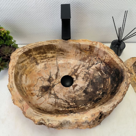 Раковина из окаменелого дерева Fossil Basin OD-02417 (55*45*14) 0089