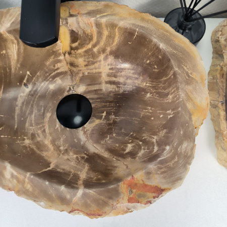 Каменная раковина из окаменелого дерева OD-04790 (48*32*16) 0175 из натурального камня
