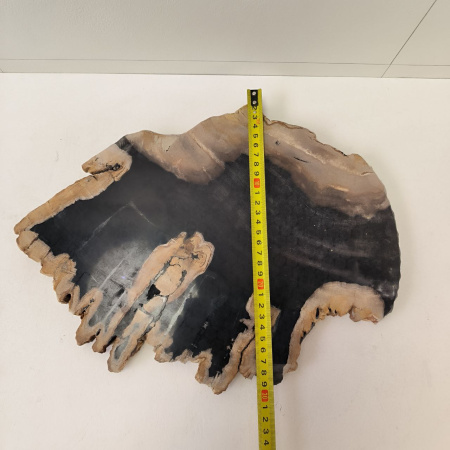 Набор из окаменелого дерева 4 предм Fossil Set NF-03296 поднос 149 