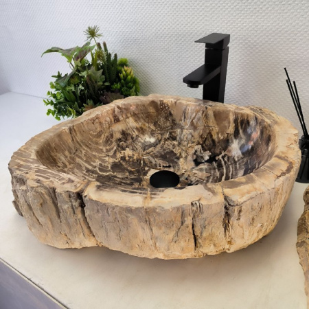 Раковина из окаменелого дерева Fossil Basin OD-02437 (45*43*15) 0089
