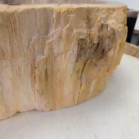 Раковина из окаменелого дерева Fossil Basin OD-02410 (58*47*15) 0089