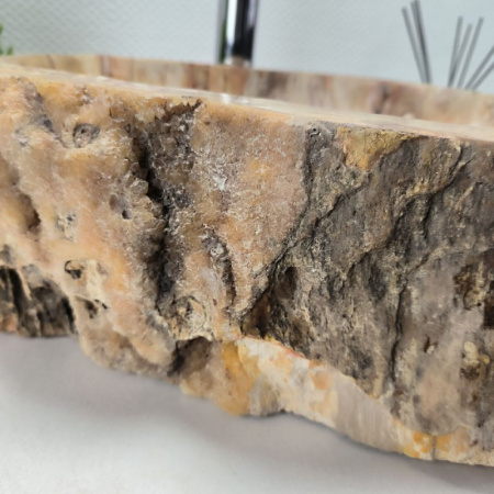 Раковина из окаменелого дерева Fossil Basin OD-02138 (54*43*15) 0089
