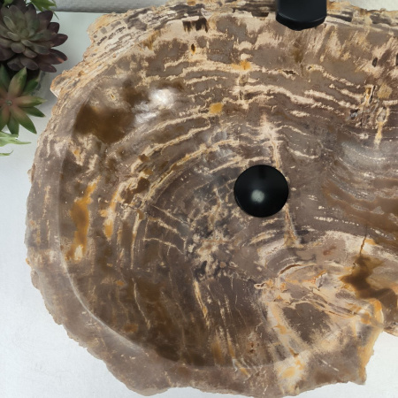 Каменная раковина из окаменелого дерева OD-04754 (51*41*15) 0176 из натурального камня