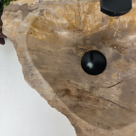 Каменная раковина из окаменелого дерева OD-04796 (40*32*15) 0174 из натурального камня