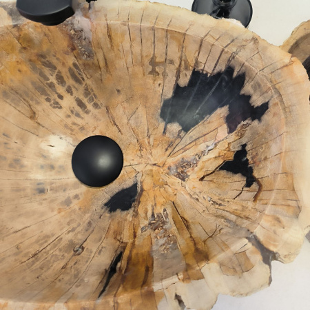 Раковина из окаменелого дерева Fossil Basin OD-02468 (44*35*15) 0088