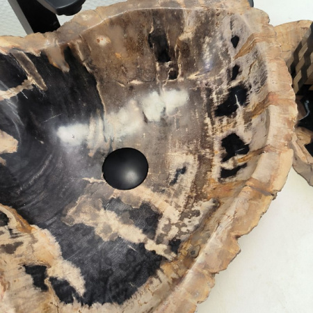 Раковина из окаменелого дерева Fossil Basin OD-02506 (53*44*15) 0092