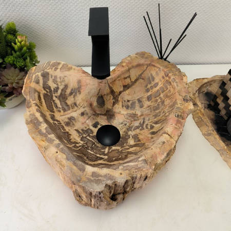 Раковина из окаменелого дерева Fossil Basin OD-02371 (43*39*15) 0088