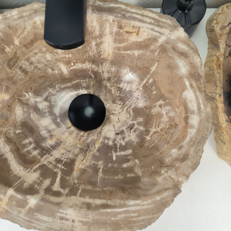 Каменная раковина из окаменелого дерева OD-04801 (40*32*16) 0174 из натурального камня