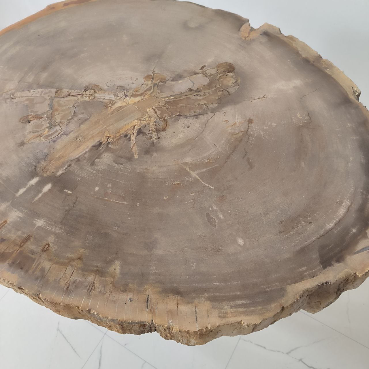 vhaihim1gs9l2qjvka6sr53ihbglstiw