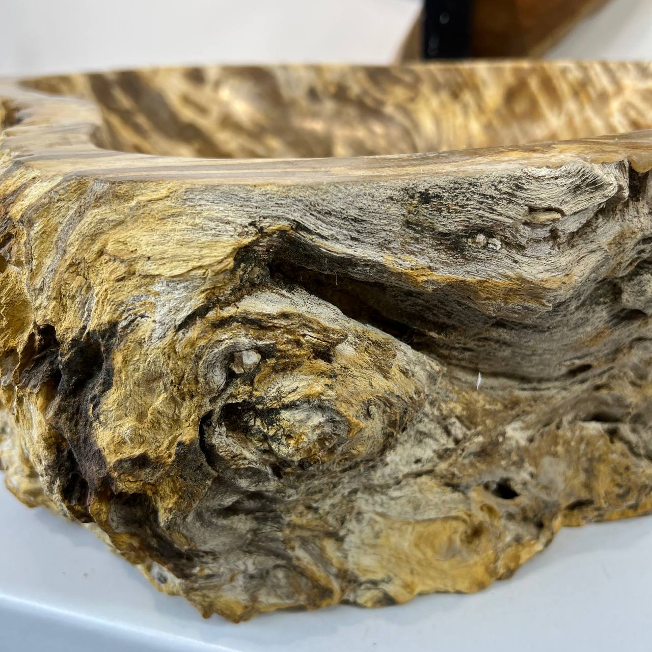 Раковина из окаменелого дерева ПАРА! OD-66877 60*47*15 из натурального камня