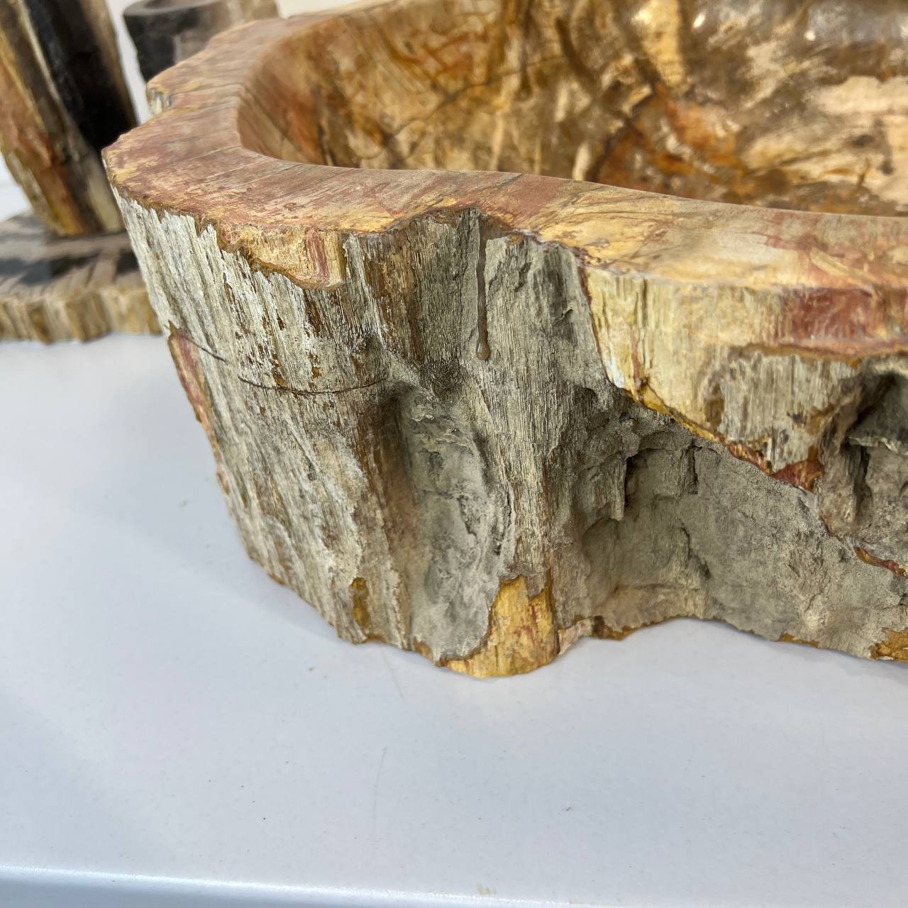Раковина из окаменелого дерева ПАРА! OD-67011 63*46*16 из натурального камня