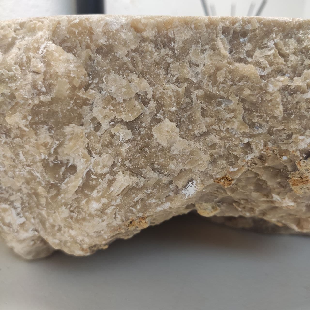 75qw2p4ifdq1in8iluj99lt1egejk3it