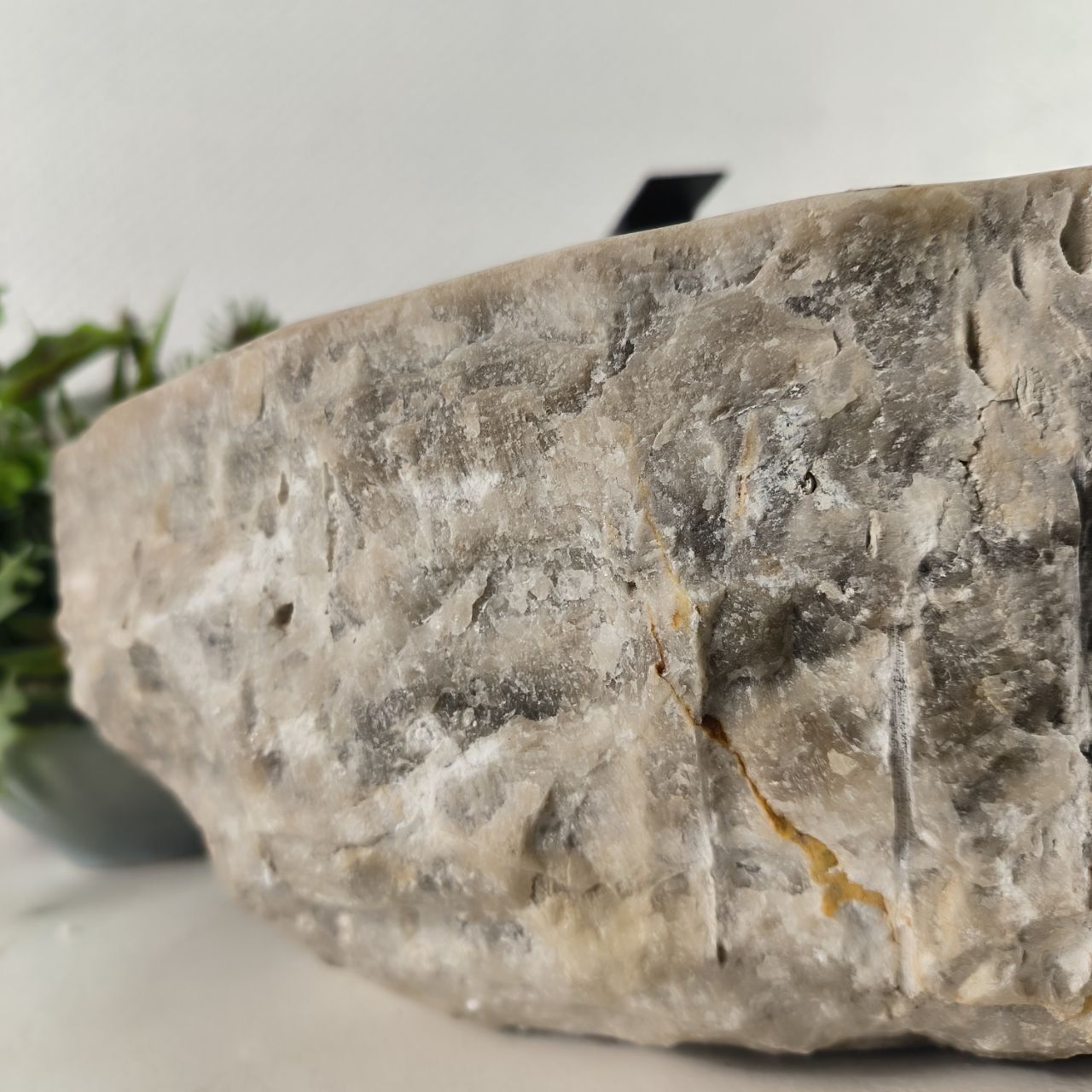 vn7k1pvv8scltdcct5n4xsccq5co307d