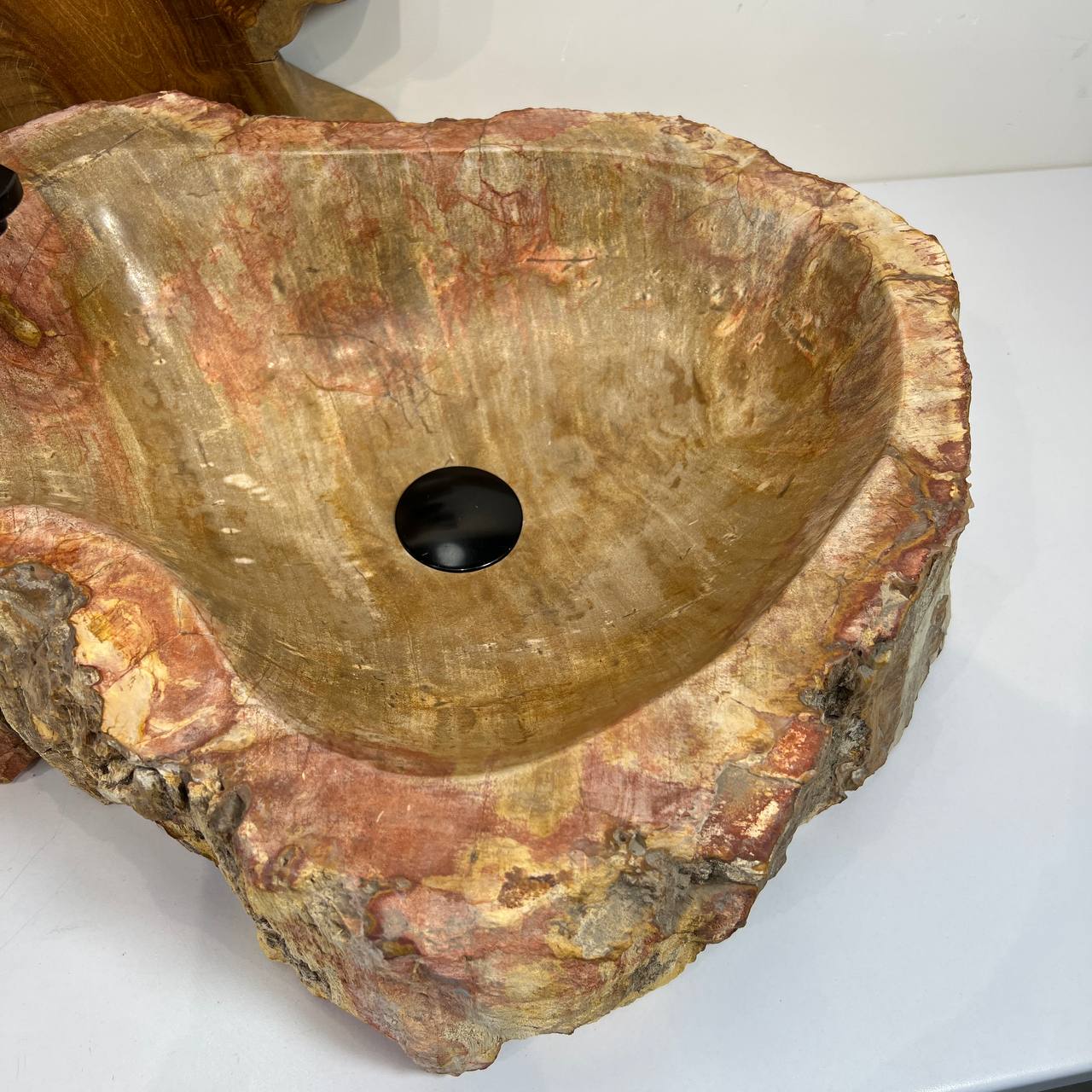 Раковина из окаменелого дерева ПАРА! OD-66876 62*45*16 из натурального камня