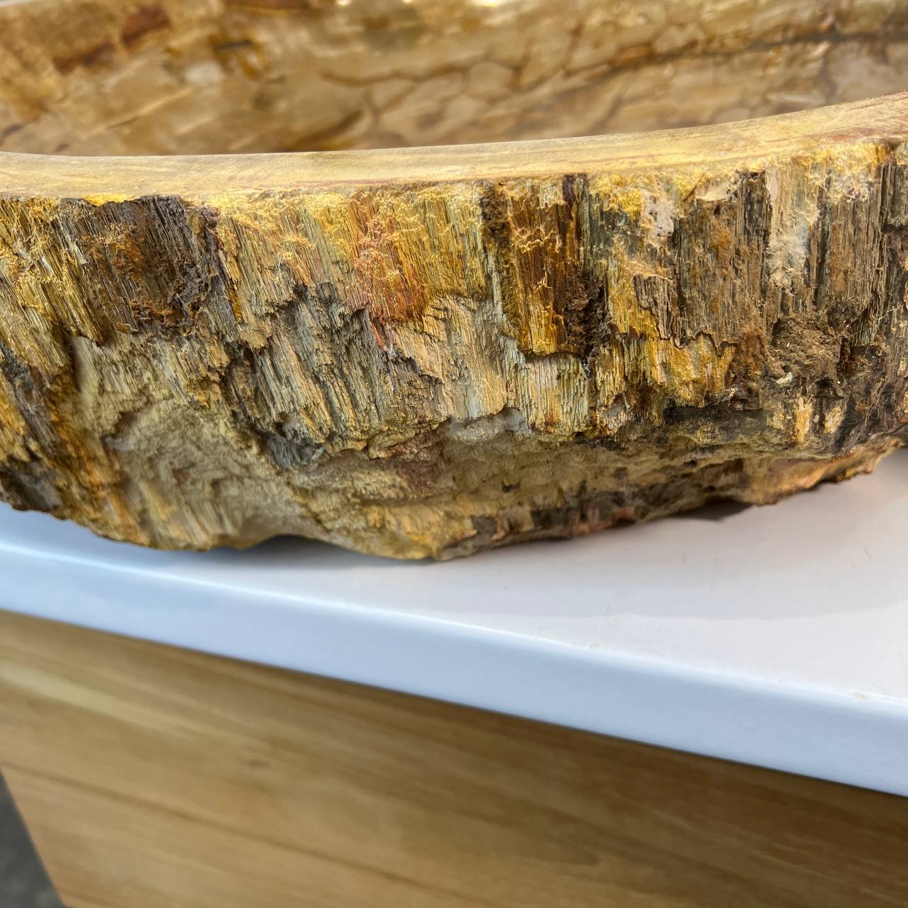 Раковина из окаменелого дерева ПАРА! OD-66878 62*55*15 из натурального камня
