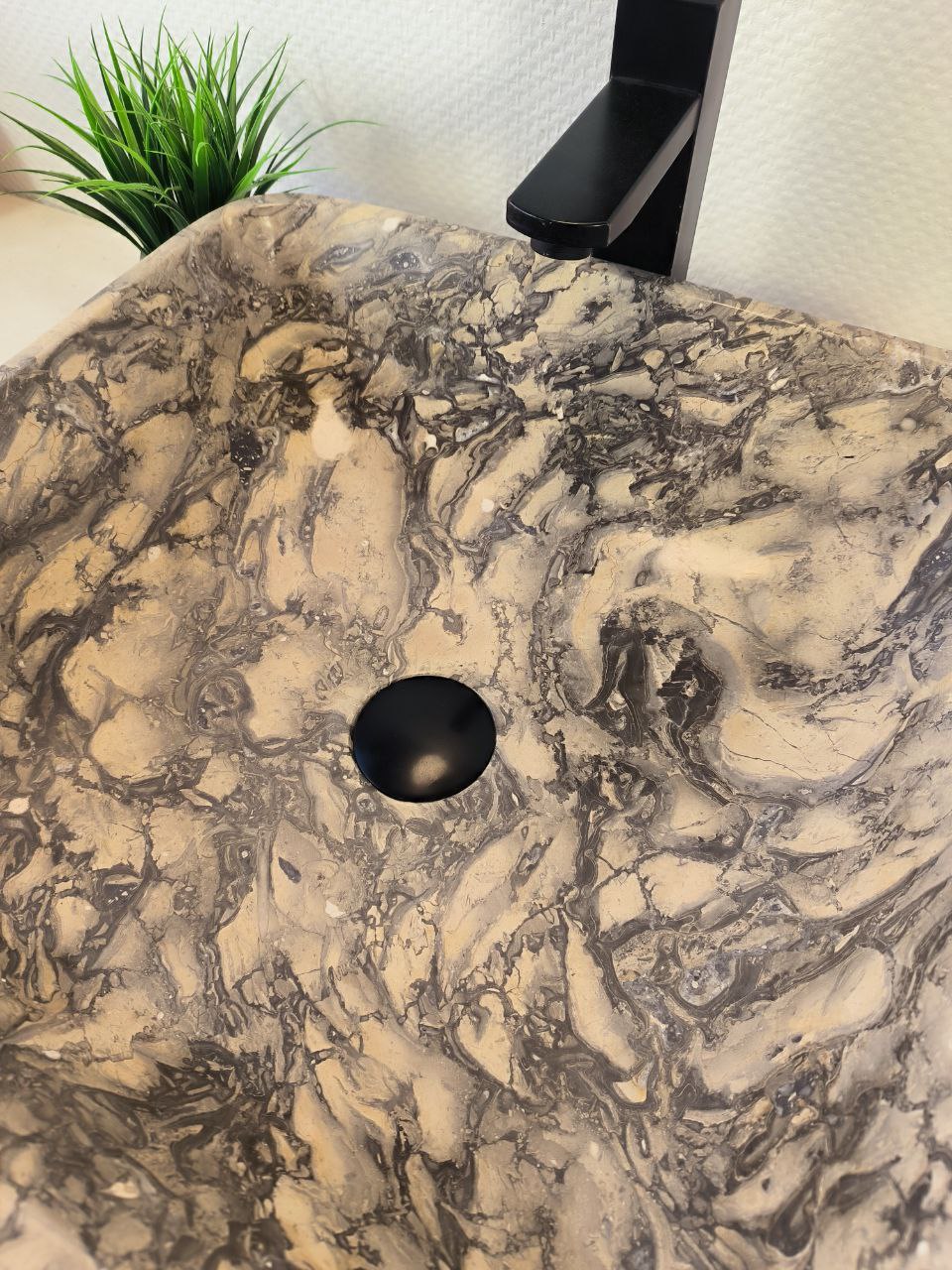 photo_2025-03-20_14-24-36