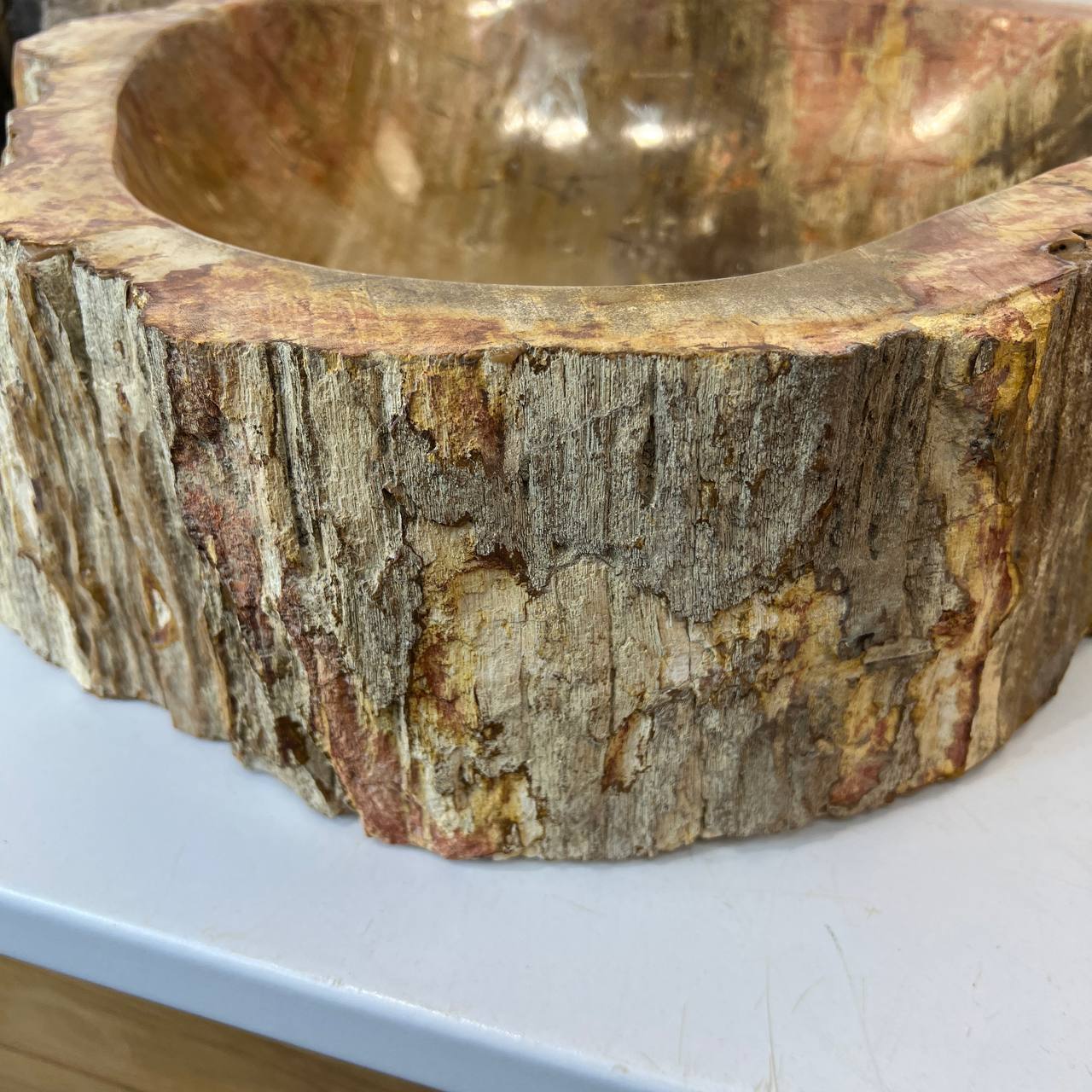 Раковина из окаменелого дерева ПАРА! OD-67004 51*44*16 из натурального камня