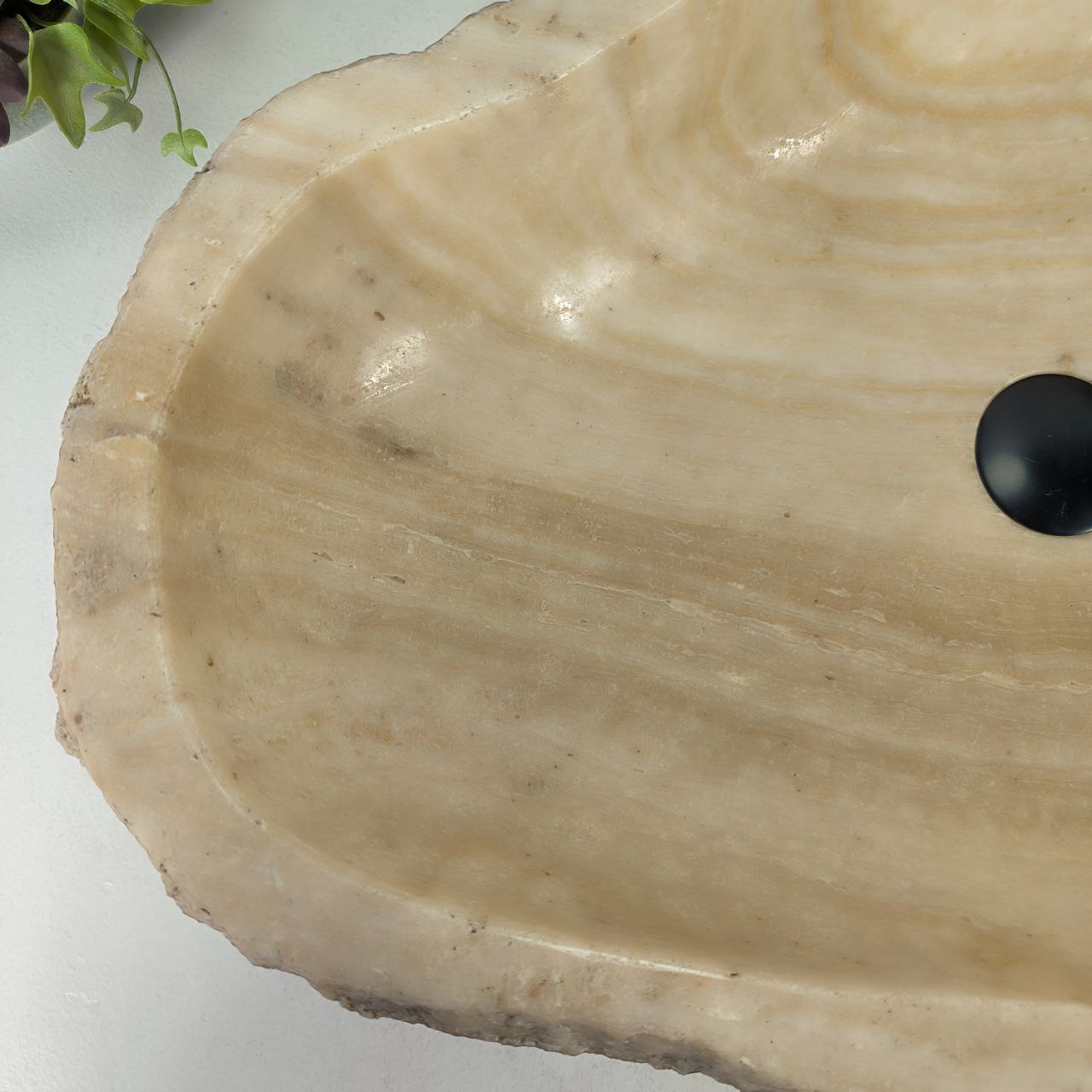 ahslrntte6u1z0hpxk6yoatjn8mkgxyn