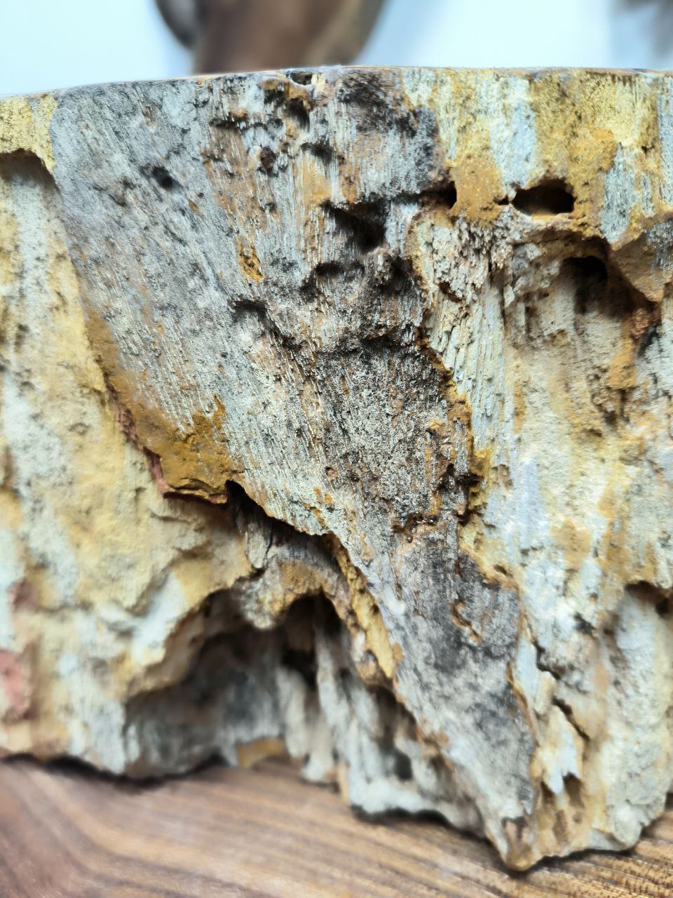 2c378acb-b269-46a0-ab86-6caf5bb6d2e8