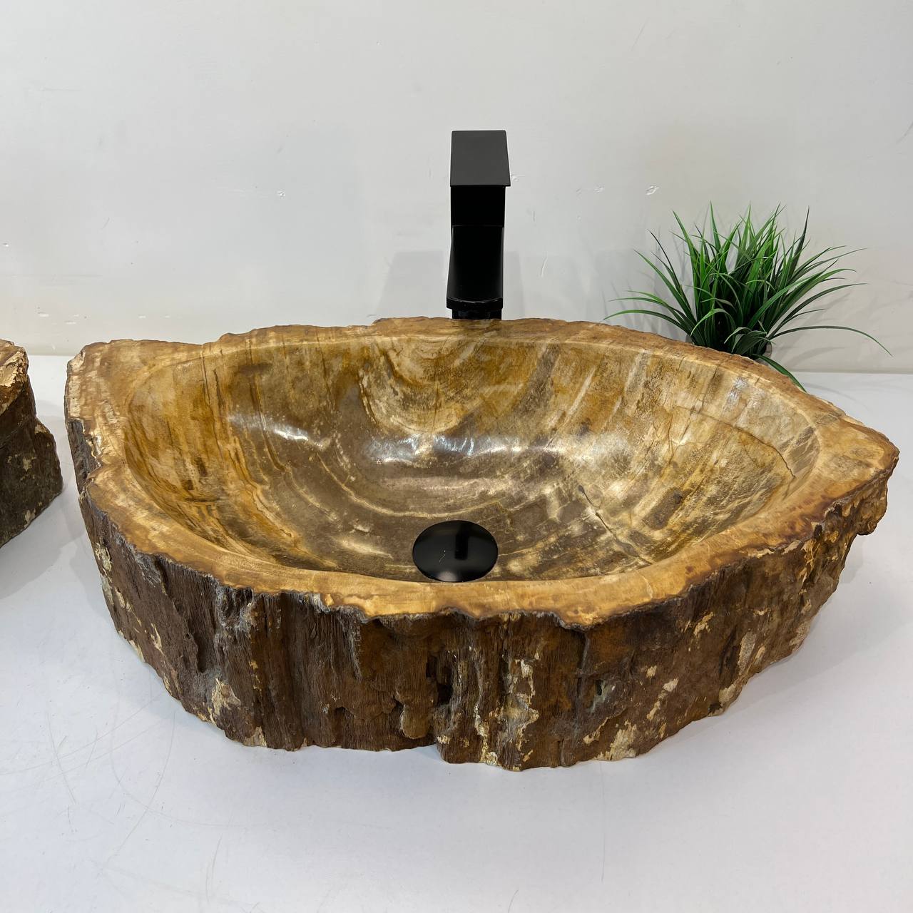 Раковина из окаменелого дерева ПАРА! OD-67003 61*34*15 из натурального камня
