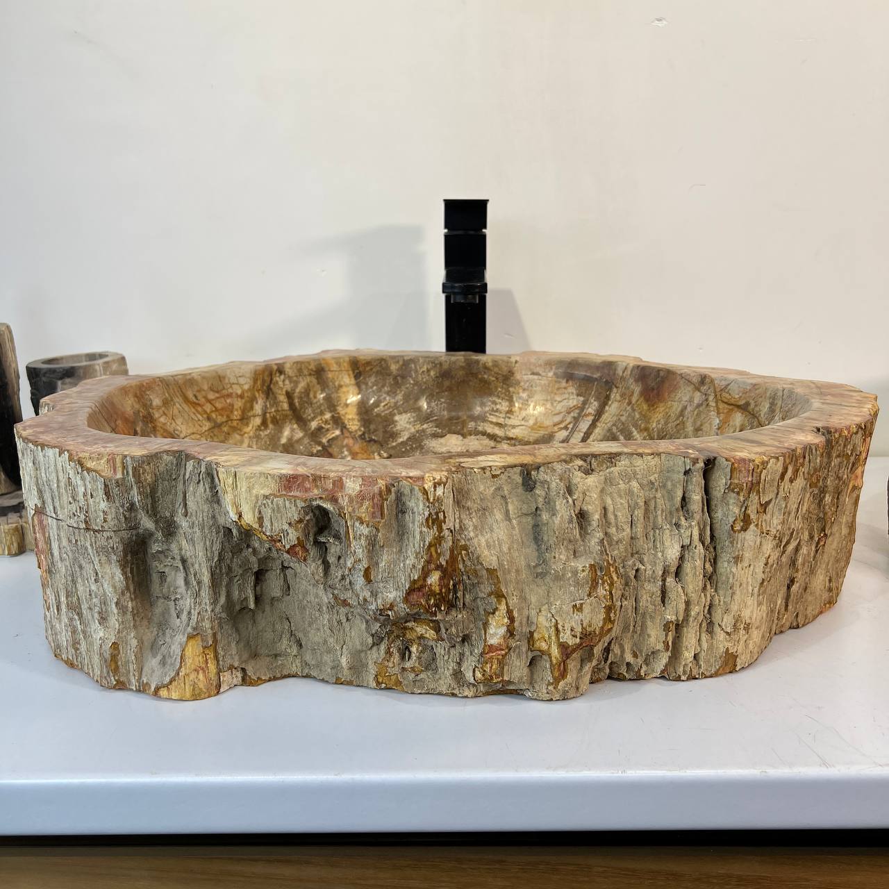 Раковина из окаменелого дерева ПАРА! OD-67011 63*46*16 из натурального камня