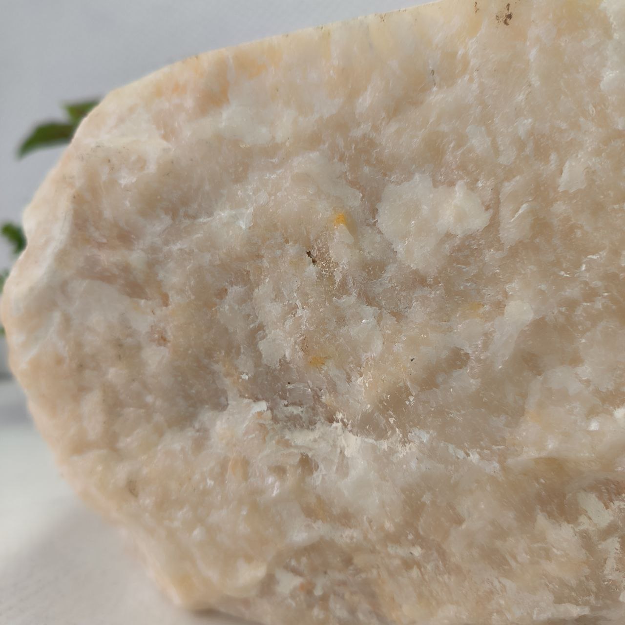 8njsn5exv9hikcot2vg2tujmhroq5s07