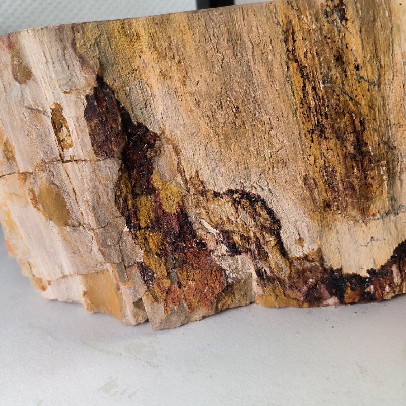 0dufp6ewzkr942e0df7mjllm81g3612b