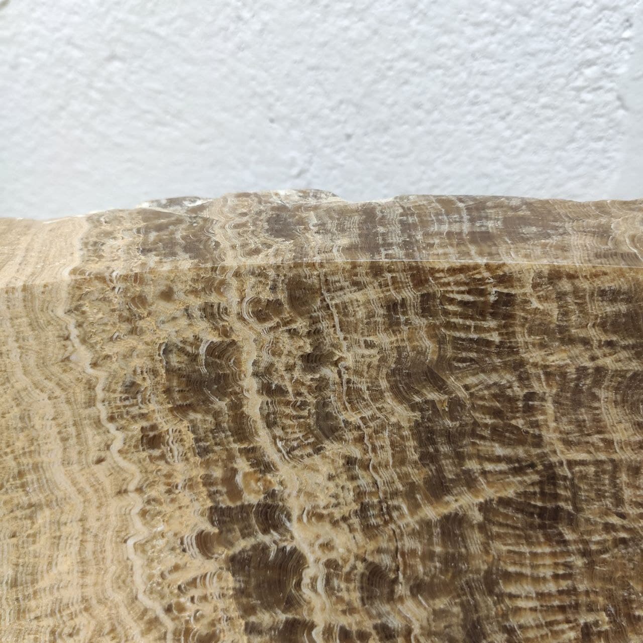 kiz2j5k0x9brnu2ez7jpqyr4rbt8h6zj