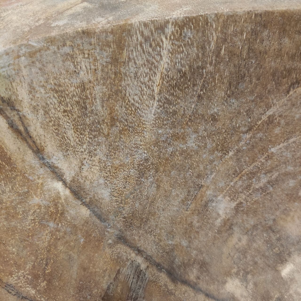 kwwfpblmstyaouqiwek1lbfd2serdy15