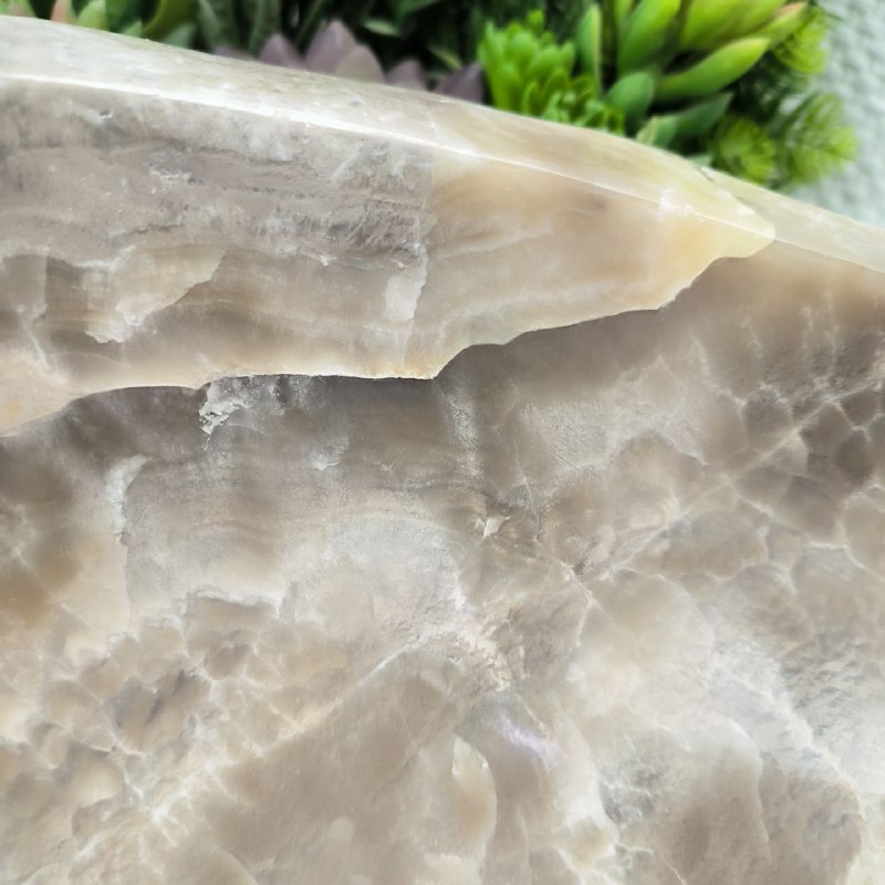 5bfhgma9k47jvq27pjrlcemr845hzdfi