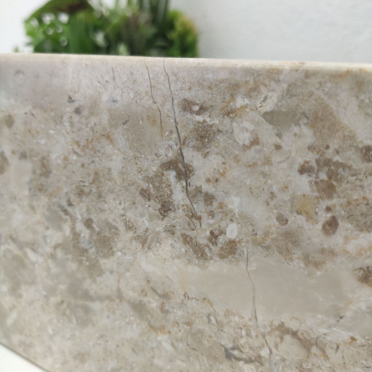 b9c4vp83oeo2befnlqfpi51779s3e34l