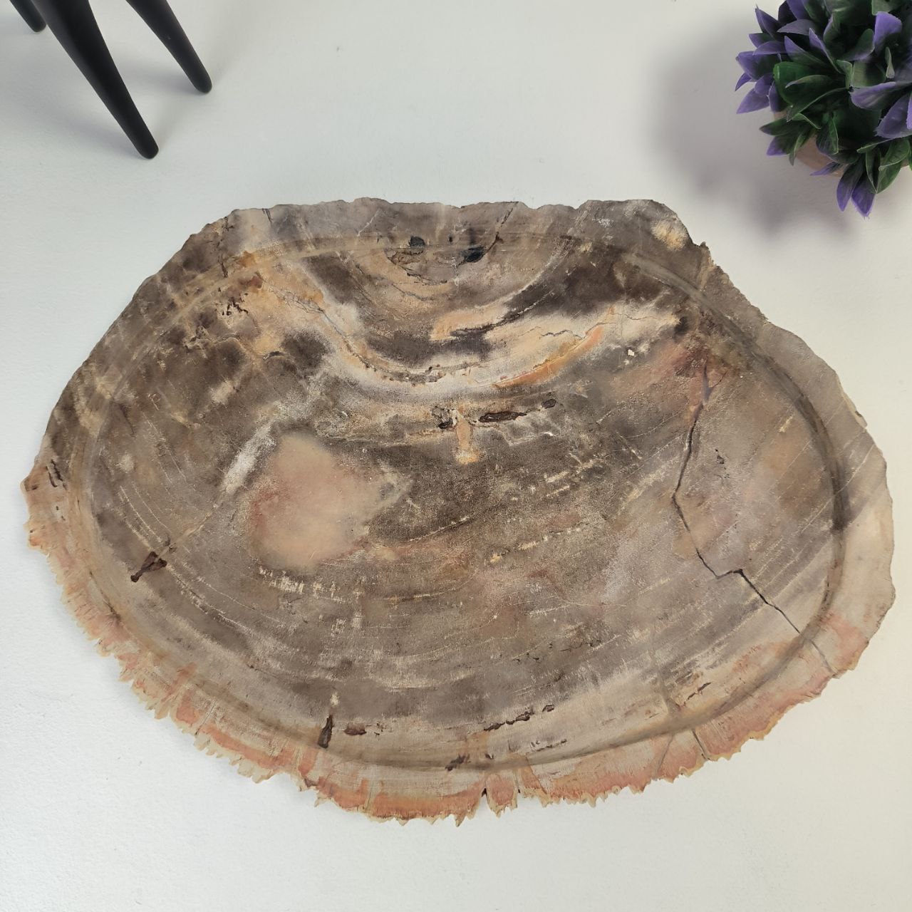 au8zjwj0g5a4vobwkvp64hx6d0x888sh