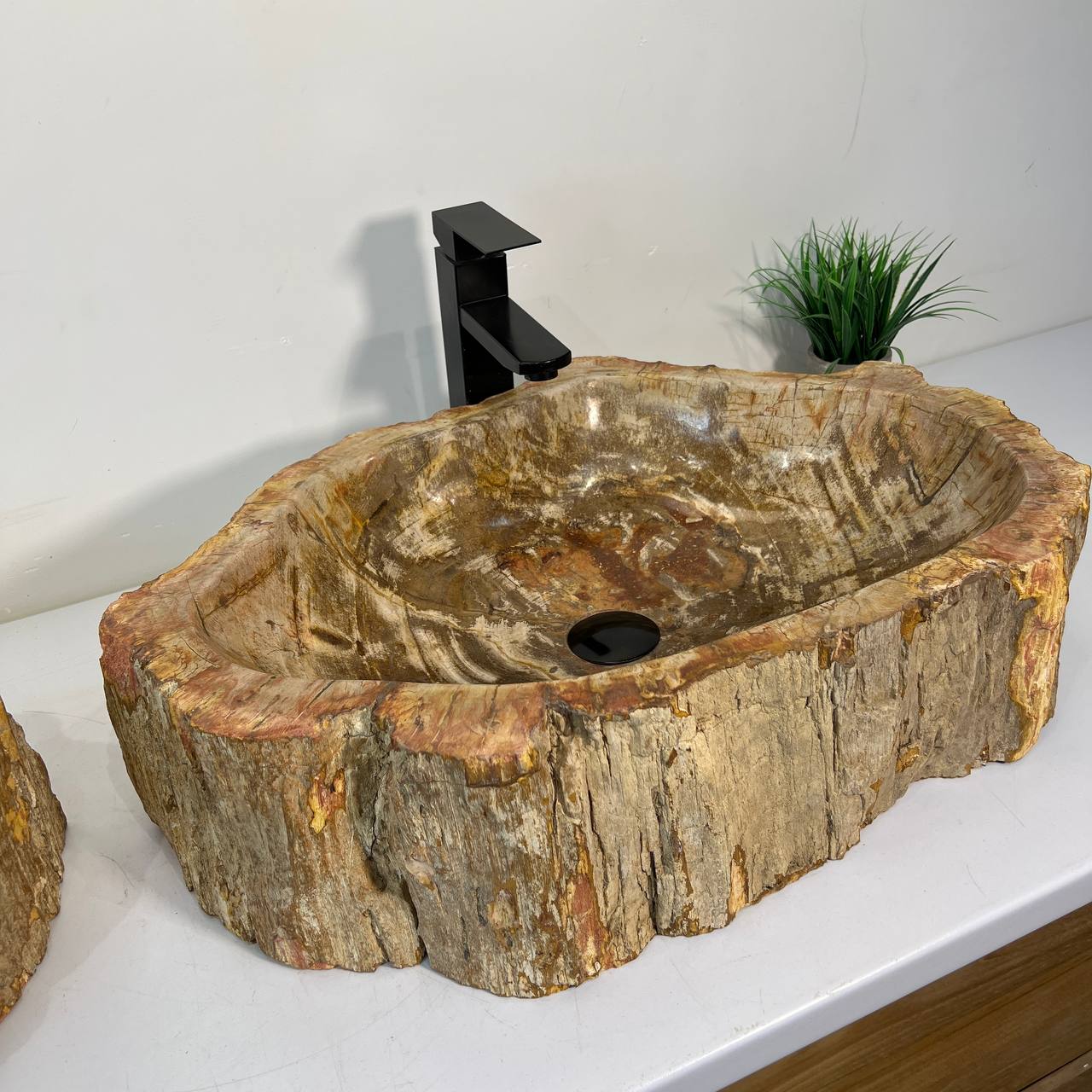 Раковина из окаменелого дерева ПАРА! OD-67011 63*46*16 из натурального камня