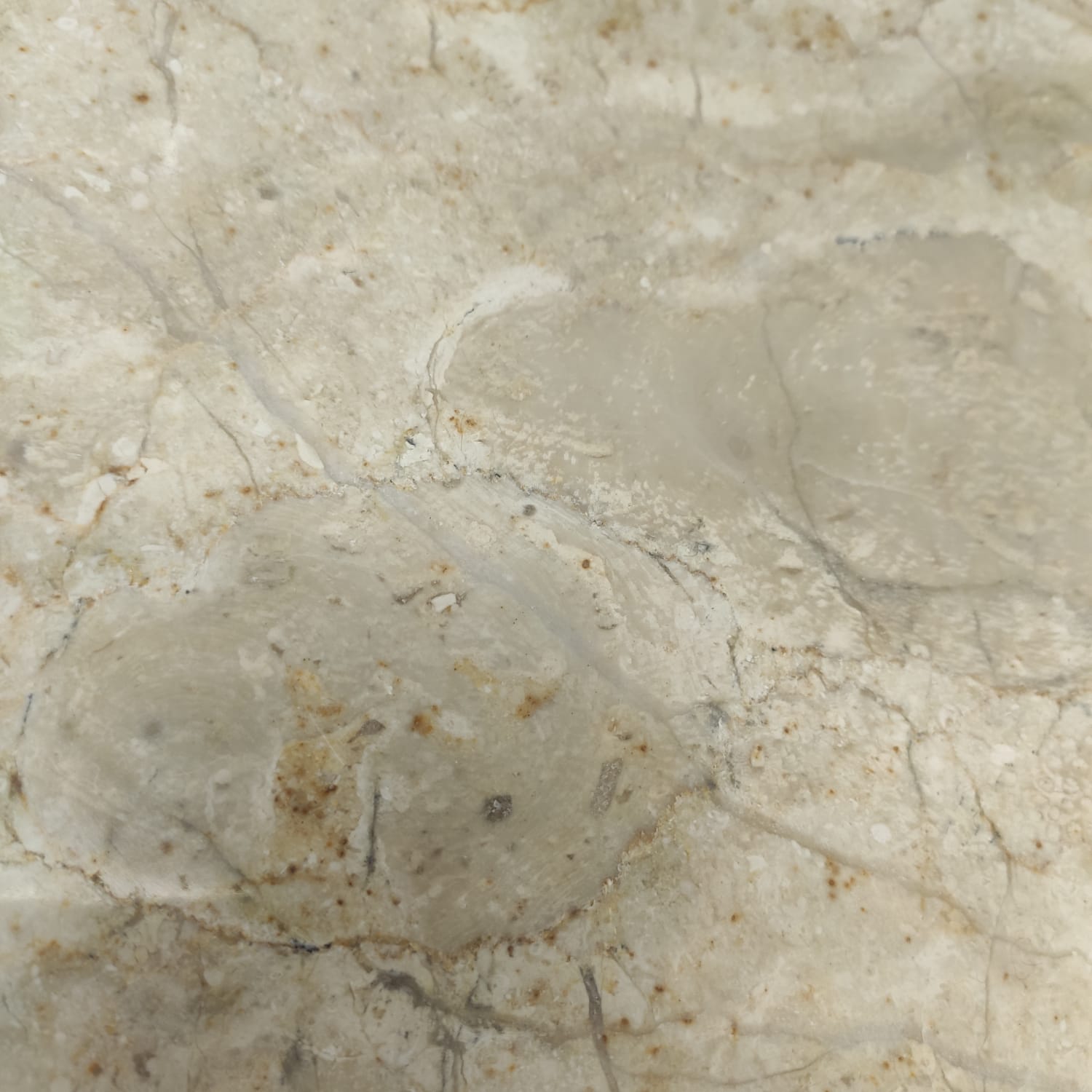 xn841go4njvlabavcvb2zlwa7iju17ht