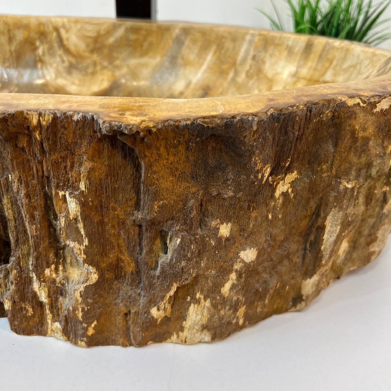 Раковина из окаменелого дерева ПАРА! OD-67003 61*34*15 из натурального камня