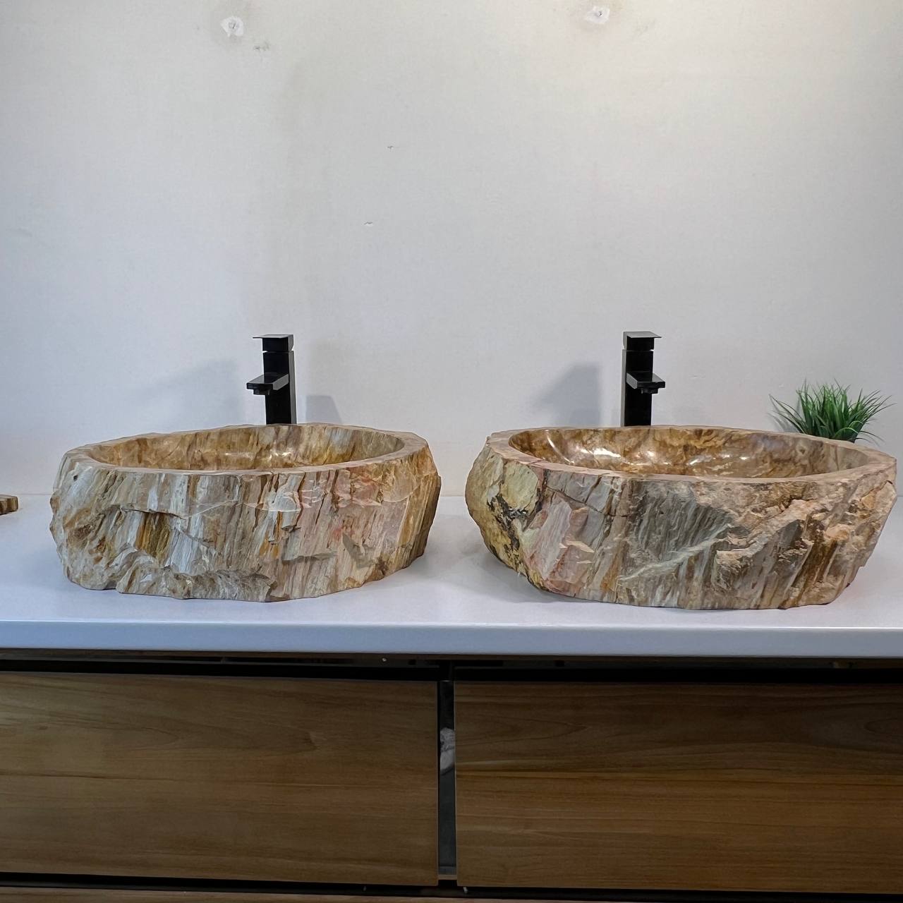 Раковина из окаменелого дерева ПАРА! OD-66941 53*42*15 из натурального камня