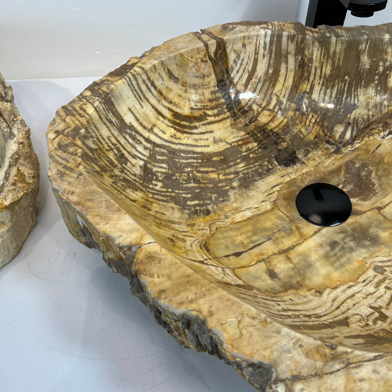 Раковина из окаменелого дерева ПАРА! OD-66907 63*49*15 из натурального камня