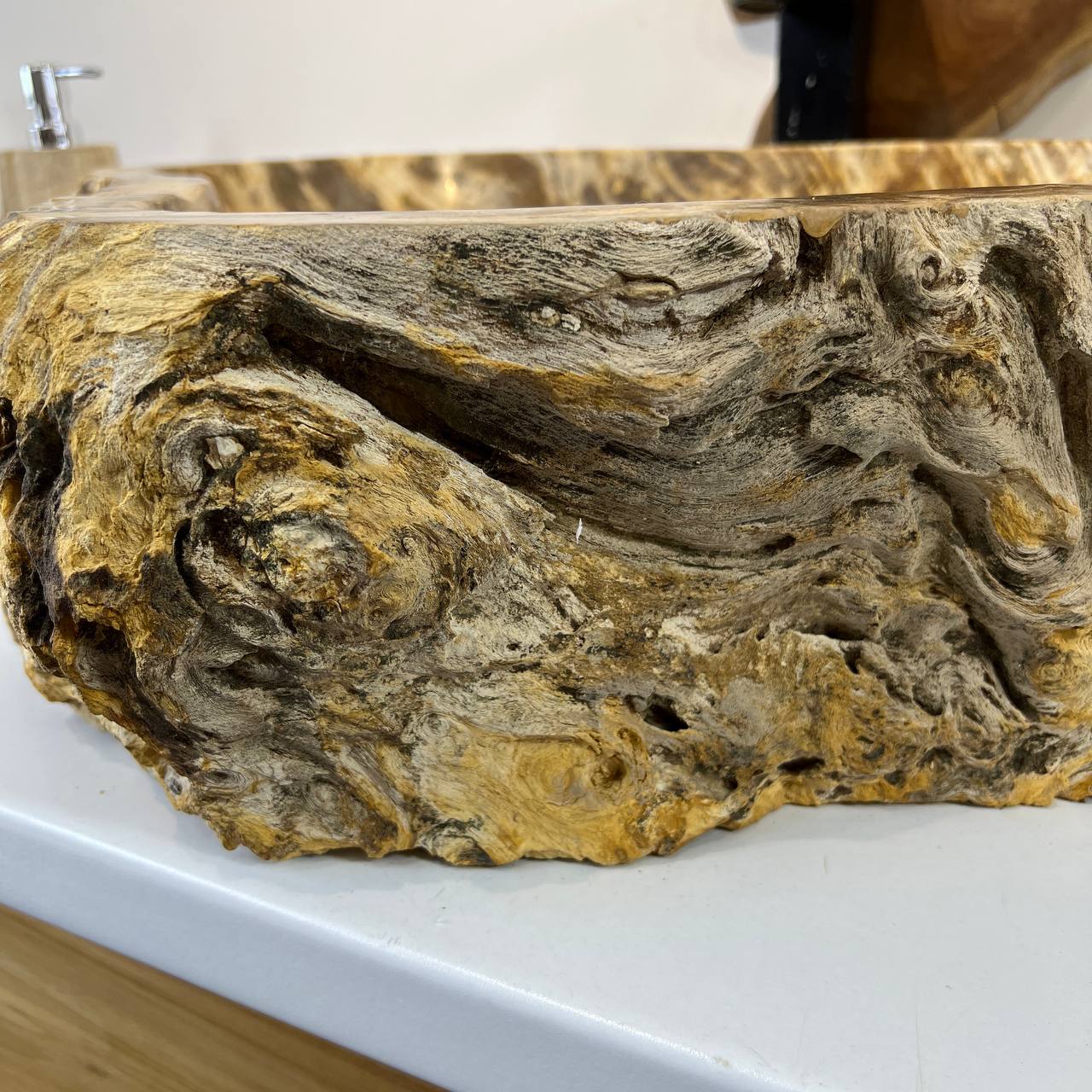 Раковина из окаменелого дерева ПАРА! OD-66877 60*47*15 из натурального камня