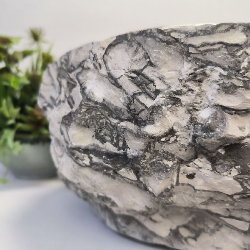 t0sx6eq3apujqft9lm27otxylo3cqan5