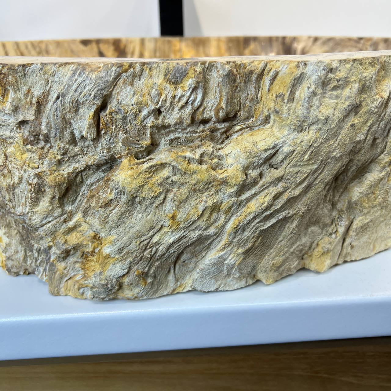 Раковина из окаменелого дерева ПАРА! OD-66907 63*49*15 из натурального камня